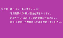 バブル期　ディスコ名古屋abime(1986年～2012年)　フードチケット　※二色刷りタイプ　送料63円～_画像3