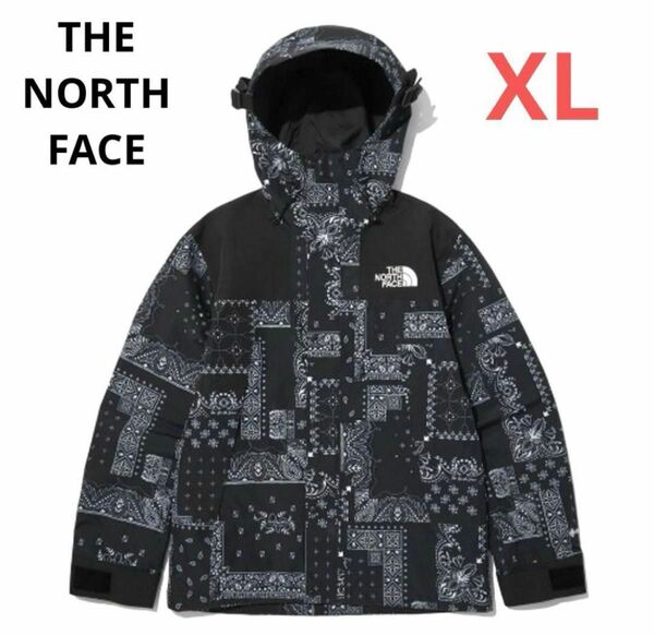 【海外限定】ノースフェイス マウンテンジャケットGORETEX XL