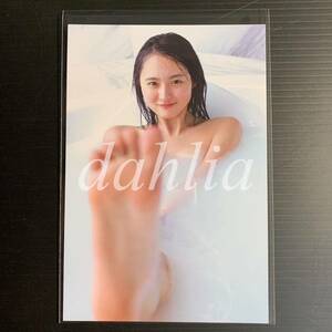 遠藤さくら ポストカード 風呂 封入 1st 写真集 可憐 乃木坂46