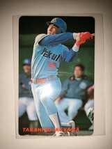 池山隆寛　91 カルビープロ野球チップス No.47　ヤクルトスワローズ_画像1