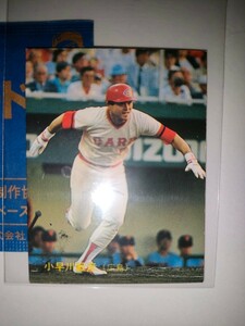 小早川毅彦　88 カルビープロ野球チップス No.143　広島東洋カープ