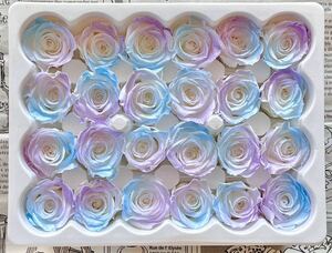  preserved flower flower diameter 2-2.5cm 24 wheel rose blue lilac pearl 