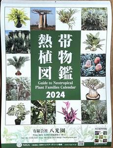 未使用☆壁掛けカレンダー2024☆熱帯植物図鑑