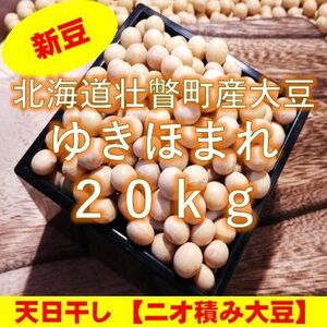 【新豆】令和5年産 北海道壮瞥町産大豆20㎏