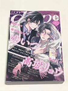 2024年1月『 drap ドラ 』(高城リョウ、ゆいつ、高城リョウ、ひなこ　ほか)　送料込み！【2401】21