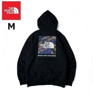 1円～!売切!【正規新品】THE NORTH FACE PRINTED BOX NSE HOODIE パーカー US限定 グラフィック ボックスロゴ(M)黒 迷彩柄 181130-30