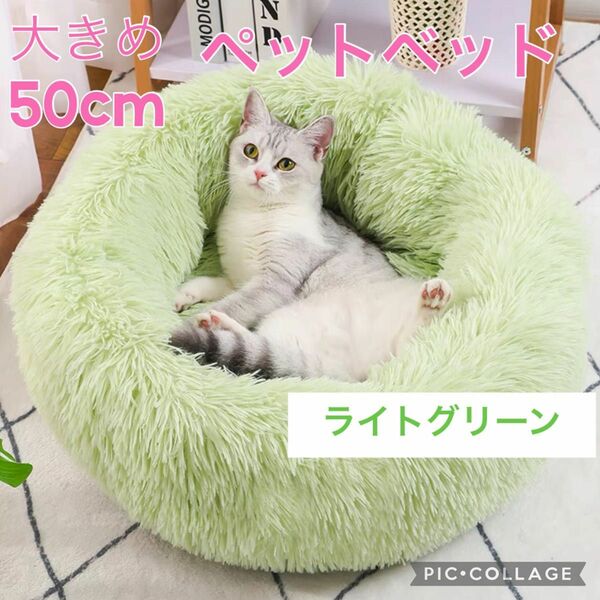 ペットベッド　猫ベッド　犬ベッド　ふんわり　オールシーズン　グリーン　丸洗い