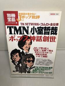 音楽誌が書かないJポップ批評53 TMN&小室哲哉ポップス神話創世