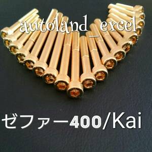 即決☆ゼファー400/改★金メッキエンジンカバーボルト！