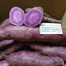 2024年初売りセール 愛媛県産サツマイモ【紫芋】_画像3