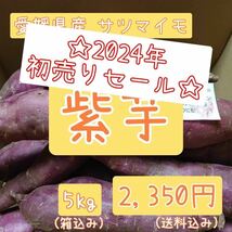 2024年初売りセール 愛媛県産サツマイモ【紫芋】_画像1