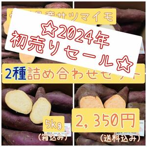 2024年初売りセール 愛媛県産サツマイモ 組み合わせ自由【2種類詰め合わせセット】