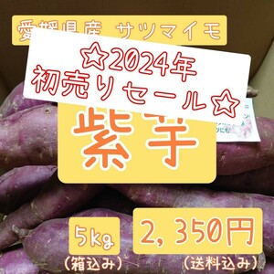 ☆2024年初売りセール☆愛媛県産サツマイモ【紫芋】