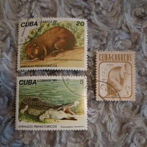  cue ba animal stamp 3 pieces set *wani borderless a* CUBA CROCODYLUS JUTIA * Crocodile Hutia