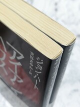 【初版】アイアン・ハウス　上下　全2冊セット　ハヤカワ文庫　ミステリ　サスペンス小説_画像4