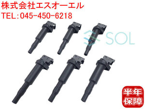 BMW E39 E60 E61 E63 E64 イグニッションコイル 6本セット(1台分) 525i 530i 530xi 540i 550i 630i 12137594937 12137562744 12137571643