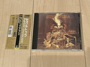 旧規格帯付 Sepultura Arise Thrarh Metal Death Metal 特典ステッカー付