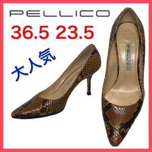 ★大人気★ペリーコ パンプス ポインテッドトゥ パイソン 美シルエット 36.5