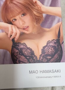 浜崎真緒　10周年　記念　本　フォトブック　写真集　非売品　MAX-A 記念本　レア　限定　イベント