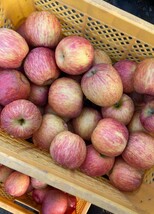 お買い得　福島県産　フレッシュ富士リンゴ　家庭用箱込み10kg 綺麗なリンゴ_画像2