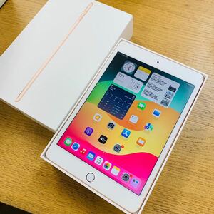 動作品 iPad mini5 256GB Wi-Fi+Cellularモデル MUXE2J/A 箱付属品有 タブレット SIMフリー Applestore購入はNN8268