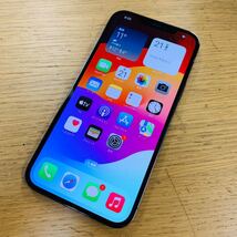 Apple iPhone 12 Pro Max 256GB MGCY3J/A 本体のみ バッテリー 86% ストア購入 SIMフリー NN8507_画像1