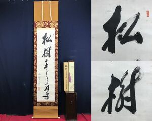 真作/妙心寺管長/古川大航/一行書/松樹千年翠/茶道具/茶掛/禅語//掛軸☆宝船☆AE-201