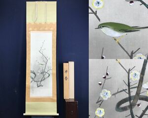 真作/郡賜泉/梅花鴬図/花鳥図/梅に鴬図/ウグイス図/早春図/梅花小禽/掛軸☆宝船☆AE-272