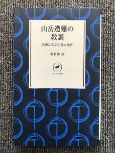 309　山岳遭難の教訓　実例に学ぶ生還の条件　羽根田治　ヤマケイ新書