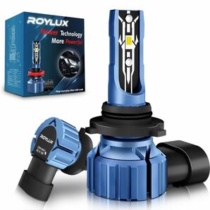 ROYLUX HB4 LED フォグランプ 爆光 9006 LED ホワイト 新