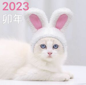 猫　ネコ　犬　ペット　被り物　干支　うさぎ　年賀状　2023 可愛い