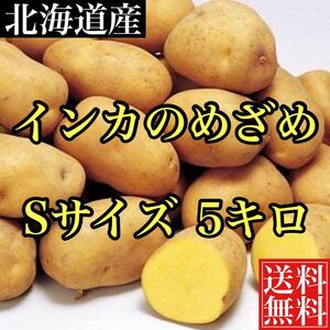 Hokkaido Phantom Phantom Potato Inca, прошивая примерно на 5 км меньше, чем 5 км бесплатная доставка