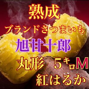 芋ソムリエが選んだ熟成ブランド芋 旭甘十郎　紅はるか　箱込み5キロ弱　送料無料