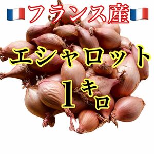 フランス産　エシャロット　箱込み1.1キロ　送料無料