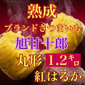 芋ソムリエが選んだ熟成ブランド芋旭甘十郎約　紅はるか　箱込1.2キロ弱　　送料無料