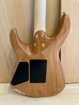 Charvel PRO-MOD DK24 HH FR M MAHOGANY WITH QUILT MAPLE シャーベル 純正ケース付属_画像5