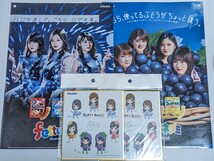 西野七瀬 グッズまとめ売り　ブランケット マフラータオル ポストカード タペストリー 他_画像5