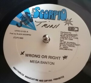 90s ダンスホール　12 Mega Banton Wrong Or Right Snake Man Mr. Dynamite