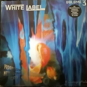 90s UK テクノ 2枚組 カラーヴァイナル White Label Volume 3 Progressive Metamorphic Techno  の画像1