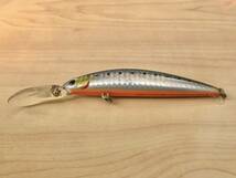 【DAIWA：ショアラインシャイナー カレントマスター 95 DR F-G：ダイワ：Shoreline Shiner CurrentMaster DR F-G】シーバス・スズキ_画像6