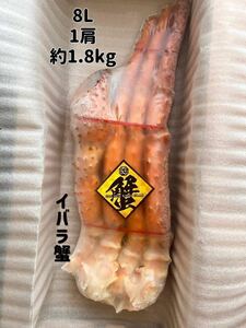 超特大サイズイバラガニ(ゴールデンキングクラブ)８L (1肩 1.８kg ) 出品数2