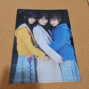 欅坂46　小林由依　松田里奈　尾関梨香　小池南波　山崎天　 クリアファイル (両面)