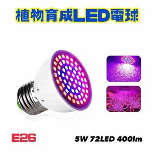 植物育成 LED電球 赤 青 LED E26口金 5W 72LED 【送料無料】観葉植物 多肉植物 成長促進 室内栽培 水槽 アクアリウム 熱帯魚 海水魚