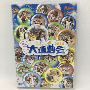 DVD『ミュージカル テニスの王子様 春の大運動会 2014』※動作確認済み/テニミュ/小越勇輝/小西成弥/稲垣成弥/上田悠介/アニメイト/Ⅱ-1137