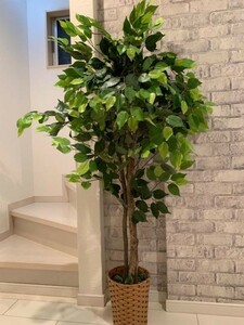 フェイクグリーン 人工観葉植物150cm ベンジャミン インテリア BD993