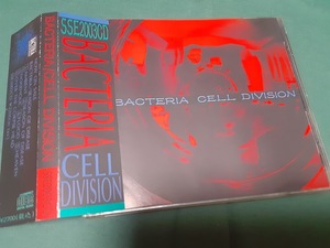 バクテリア　BACTERIA ◆『CELL DIVISION』ユーズドCD