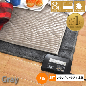  hot carpet body rug with cover electric carpet 3 tatami approximately 195×235cm anti-bacterial deodorization . mites Manufacturers 1 year guarantee energy conservation mof Kogure -