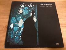 Ian O'Brien - A History Of Things To Come (2LP)_画像1