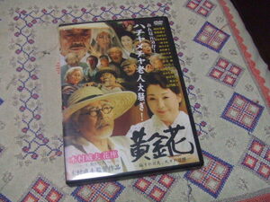  DVD 黄金花 ー 秘すれば花、死すれば蝶ー / 原田芳雄 松坂慶子 長門裕之 あがた森魚 