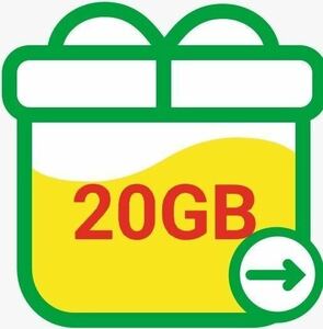 マイネオ mineo パケットギフト20GB （9990MB×2+20MB）